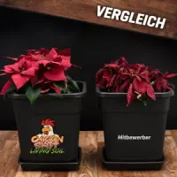 Plant BoOom - Chicken Shit Living Soil