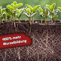 Plant BoOom - Myco-Rhiza BoOom