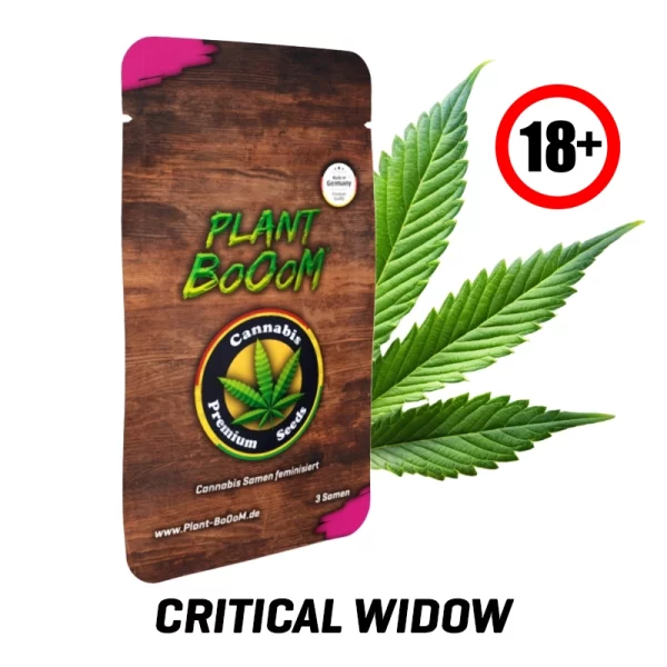 Cannabis-Samen-Critical-Widow18-600x600.webp