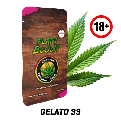 Cannabis-Samen-Gelato3318.webp