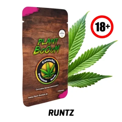 Cannabis-Samen-Runtz18-600x600.webp